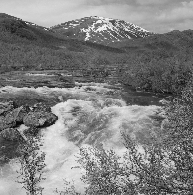 The river Ume älv