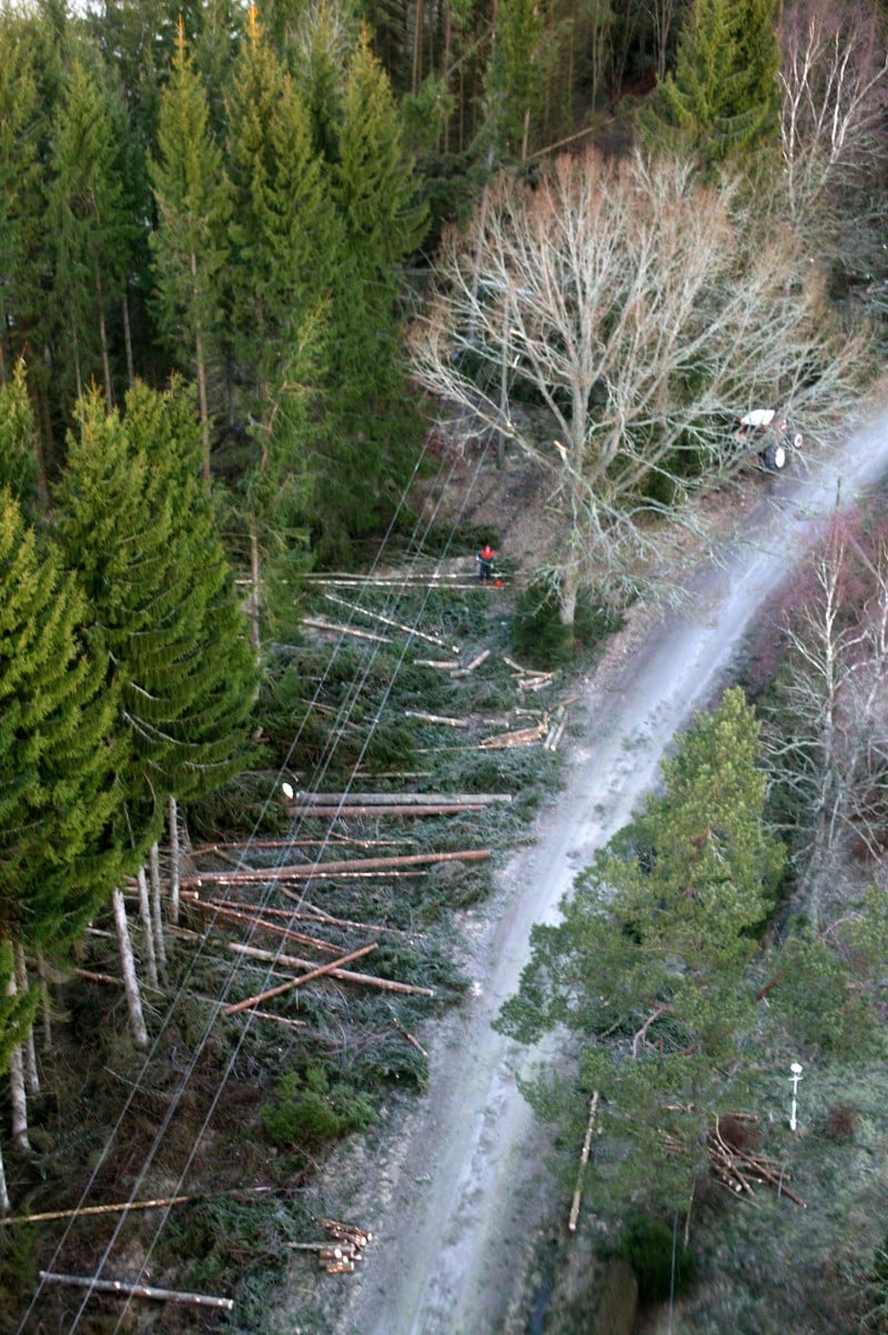 Aerial photo over Dunevallen, the day after clearing up the effects from the storm Gudrun