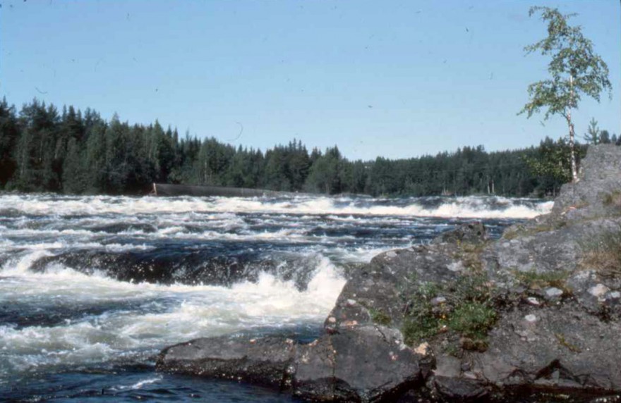 A river in northern Sweden